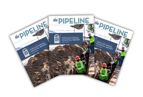 Spread of the District's Popular Annual Financial Report